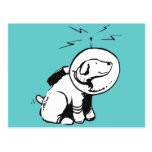Space Dog Post Card