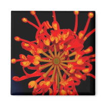 Space Flower Magnet by pulsDesign Space Flower Magnet
