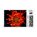 Space Flower Postage postage