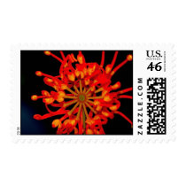 Space Flower Postage postage
