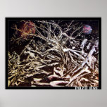 Space Gaia Posters
