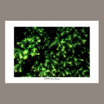 space of grass #2 posters