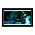 Space Pirates posters