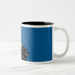 Space Shuttle Atlantis Mugs