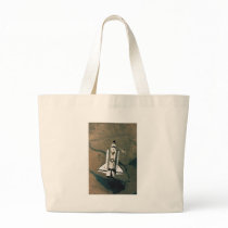 Space Shuttle bags