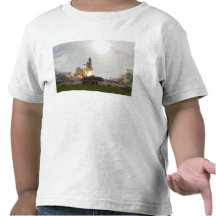 Space Shuttle Endeavour lifts off 8 Tee Shirts