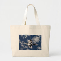 Space Shuttle in Orbiting Earth Bag