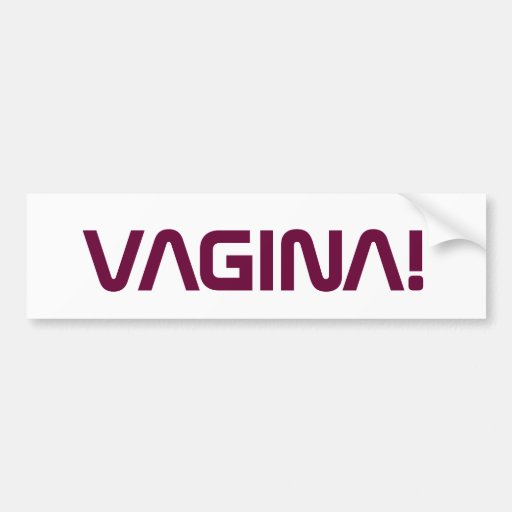 Space Vagina Bumpersticker Bumper Stickers