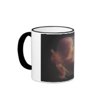 Spacecraft mugs