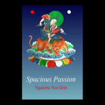 Spacious Passion Publicity [poster] posters
