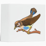 Spacy Sparrow 3 Ring Binders