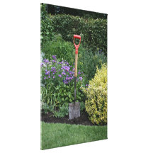 Spade in flower bed stretched canvas prints