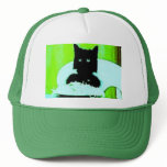 spaghetti cat hat