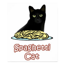 Spaghetti Cat posters