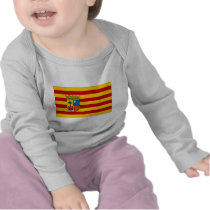 Spain Aragon Flag Shirt