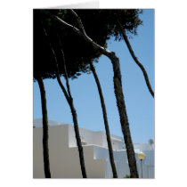 Spain CONIL DE LA FRONTERA cards