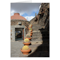 Spain Lanzarote 03 cactus garden cards