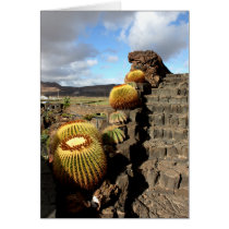Spain Lanzarote 04 cactus garden cards