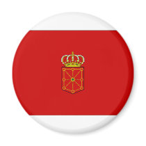 Spain Navarre Flag Fridge Magnet