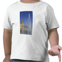 Spain, Sevilla, Andalucia Fountain and ornate T Shirts