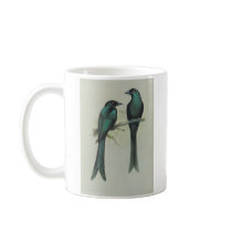 Spangled Drongo - Dicrurus hottentottus Promo mugs by LisasLair Spangled Drongo - Dicrurus hottentottus Promo mugs