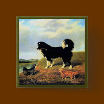 Spaniel and Two Norfolk Terriers buttons