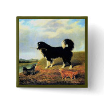 Spaniel and Two Norfolk Terriers buttons
