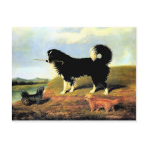 Spaniel and Two Norfolk Terriers postcards