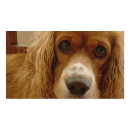 Spaniel Breed Business Card (back side)