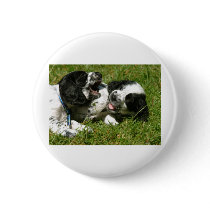 Spaniel Fun buttons by Irishdreams Spaniel Fun buttons