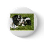 Spaniel Fun Pinback Button