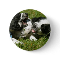 Spaniel Fun Buttons