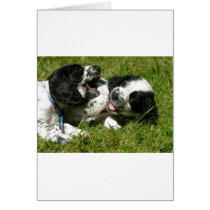 Spaniel Fun Card