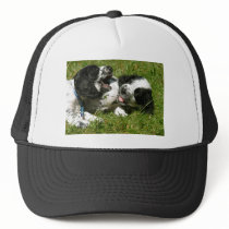 Spaniel Fun Trucker Hat