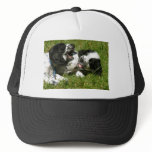 Spaniel Fun hats