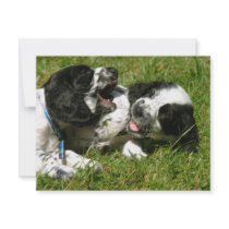 Spaniel Fun Custom Invitations
