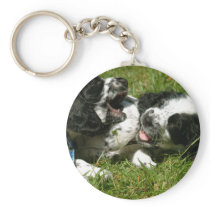 Spaniel Fun Key Chain