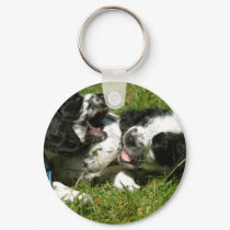 Spaniel Fun keychains by Irishdreams Spaniel Fun keychains
