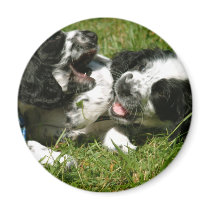 Spaniel Fun Refrigerator Magnets