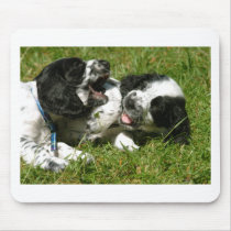 Spaniel Fun Mouse Pads