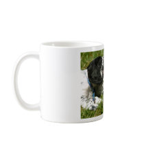 Spaniel Fun mugs