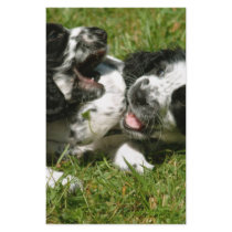 Spaniel Fun Stationery Paper