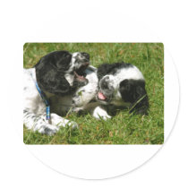 Spaniel Fun stickers