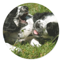 Spaniel Fun stickers