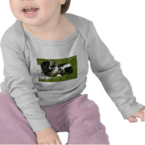 Spaniel Fun t-shirts