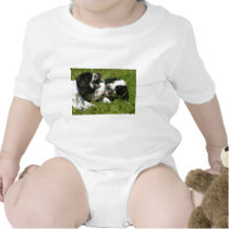 Spaniel Fun t-shirts