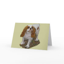 Spaniel Greeting Cards
