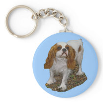 Spaniel Key Chain keychains
