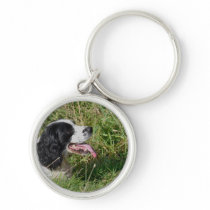 Spaniel Keyring/Keychain