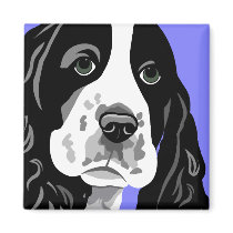 Spaniel Magnets magnets